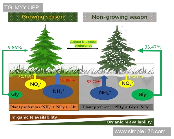 成都排球队防守策略分析及其在比赛中的成效与不足之处探讨