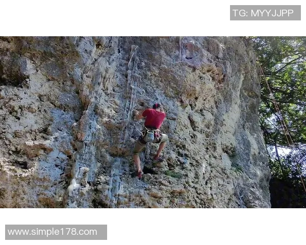 武汉攀岩队的节奏与挑战：聚焦攀岩运动的热情与发展