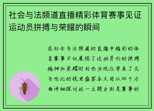 社会与法频道直播精彩体育赛事见证运动员拼搏与荣耀的瞬间